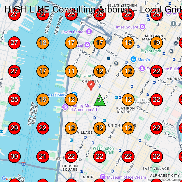 HIGH LINE Consulting Arborist GeoGrid visibility map for Landscape Architect in New York